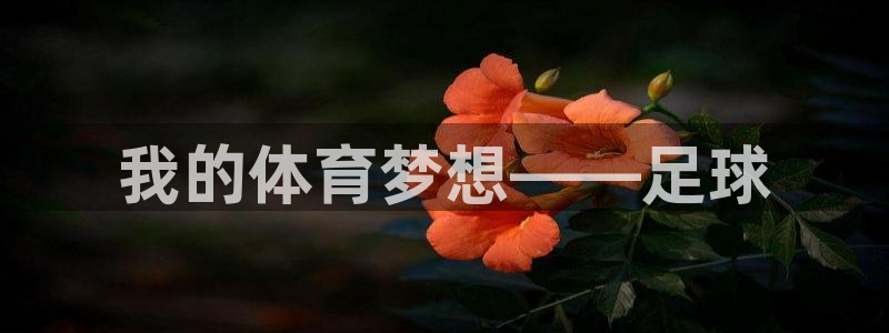 我的体育梦想——足球