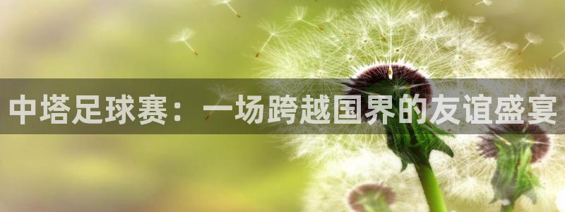 中塔足球赛：一场跨越国界的友谊盛宴