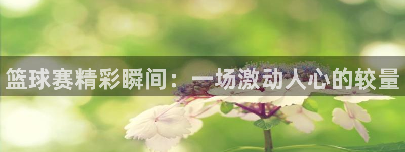 篮球赛精彩瞬间：一场激动人心的较量