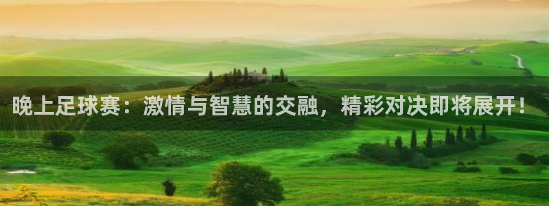 晚上足球赛：激情与智慧的交融，精彩对