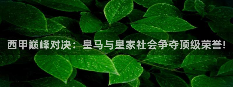 西甲巅峰对决：皇马与皇家社会争夺顶级