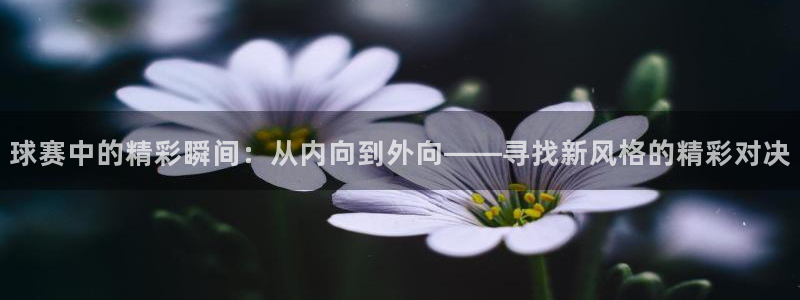 球赛中的精彩瞬间：从内向到外向——寻
