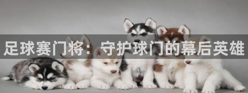 足球赛门将：守护球门的幕后英雄