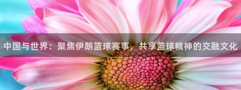 中国与世界：聚焦伊朗篮球赛事，共享篮