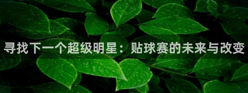 寻找下一个超级明星：贴球赛的未来与改