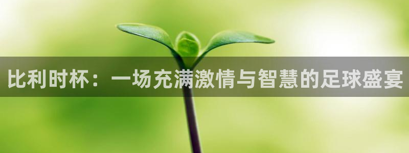 比利时杯：一场充满激情与智慧的足球盛
