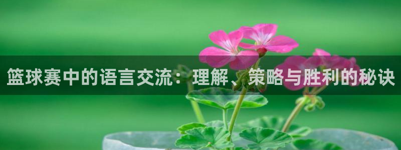 星空体育a：篮球赛中的语言交流：理解