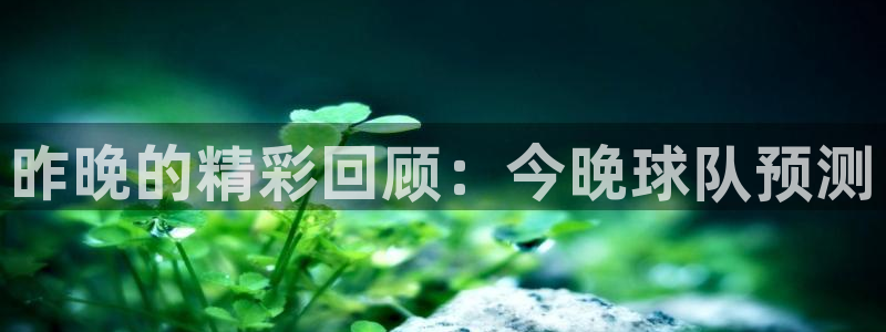 星空体育：昨晚的精彩回顾：今晚球队预