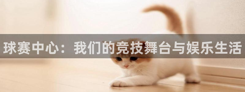 体育星空：球赛中心：我们的竞技舞台与