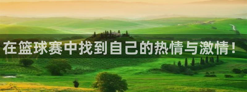 星空体育入口官网：在篮球赛中找到自己