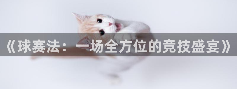 星空体育入口：《球赛法：一场全方位的