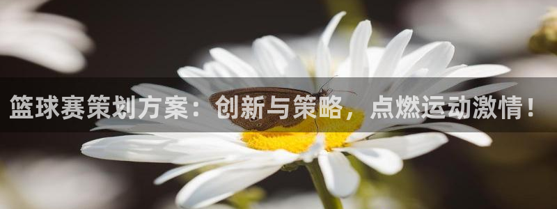 星空xk体育：篮球赛策划方案：创新与
