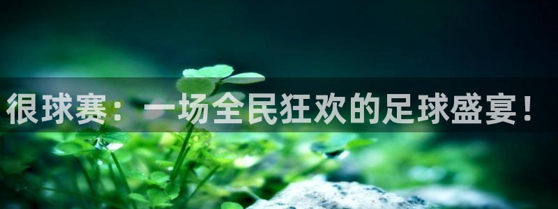 星空体育平台：很球赛：一场全民狂欢的