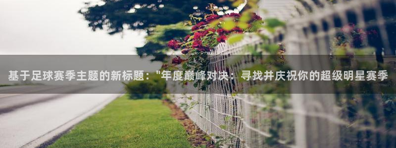 星空体育在线官网：基于足球赛季主题的