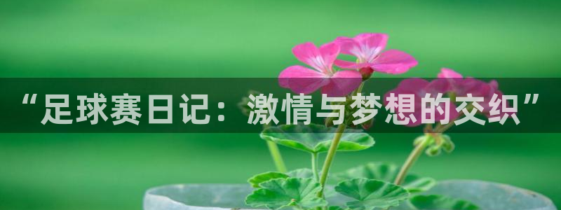 体育星空：“足球赛日记：激情与梦想的