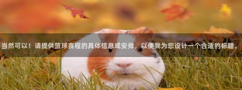 星空体育综合中国：当然可以！请提供篮