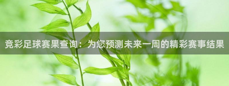 天空体育是曼联的吗：竞彩足球赛果查询