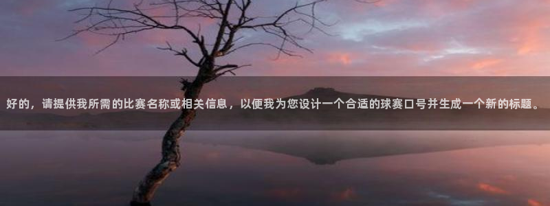 星空体育：好的，请提供我所需的比赛名