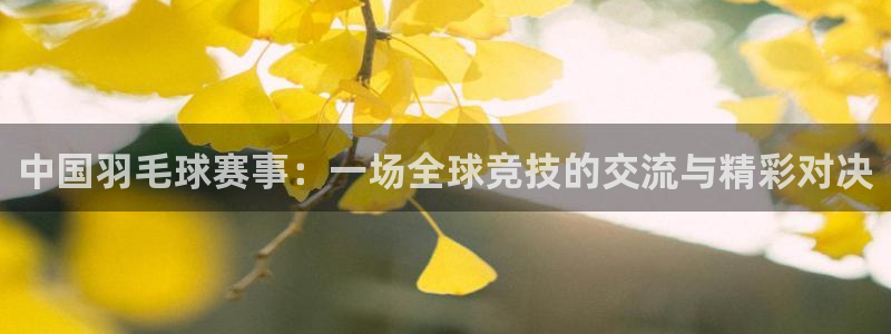 天空体育可信吗：中国羽毛球赛事：一场