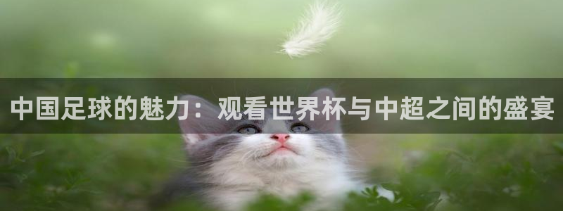 星空体育网站：中国足球的魅力：观看世