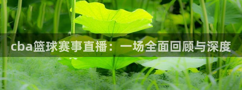 星空体育官网入口：cba篮球赛事直播