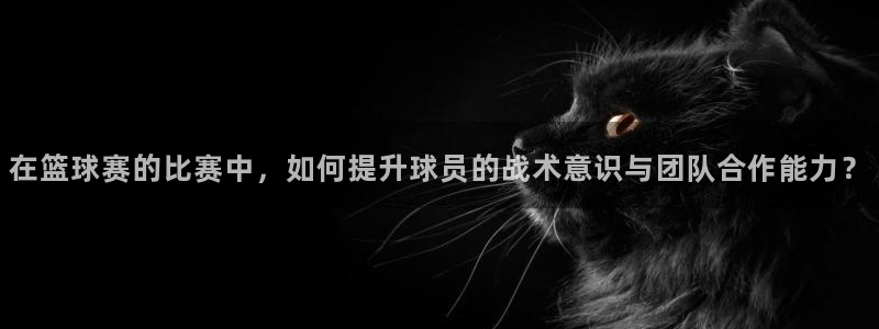 星空体育a：在篮球赛的比赛中，如何提升球员的战术意识与团队合